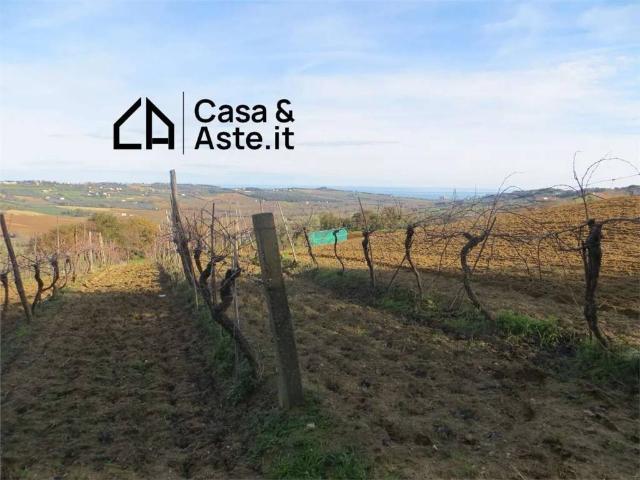 Terreno in vendita a Contrada San Savino, Marche
