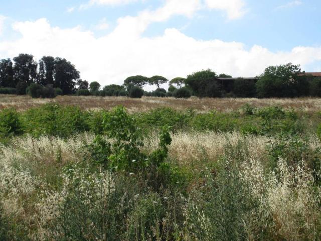 Terreno in vendita a Marche, Macerata
