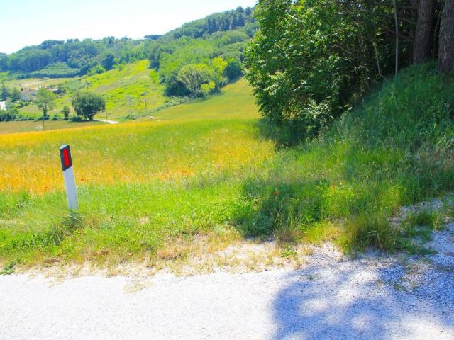 Terreno in vendita a Contrada San Savino, Marche