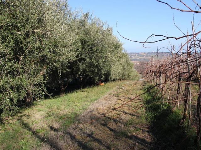 Terreno in vendita a Marche, Macerata