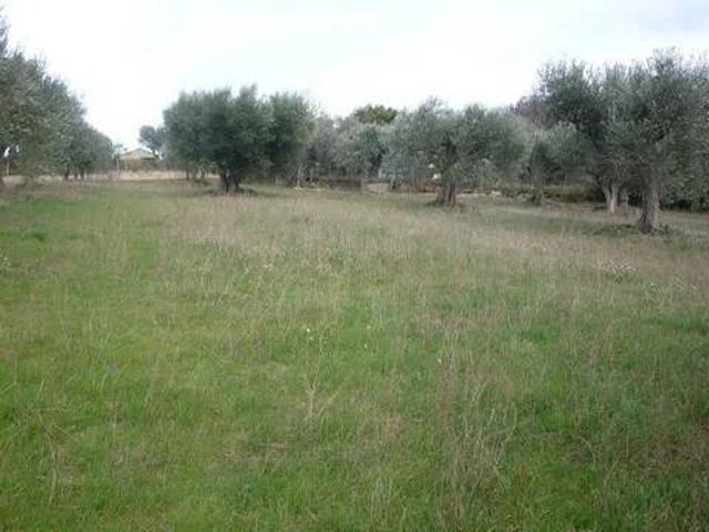 Terreno in vendita a Castelletta I, Marche