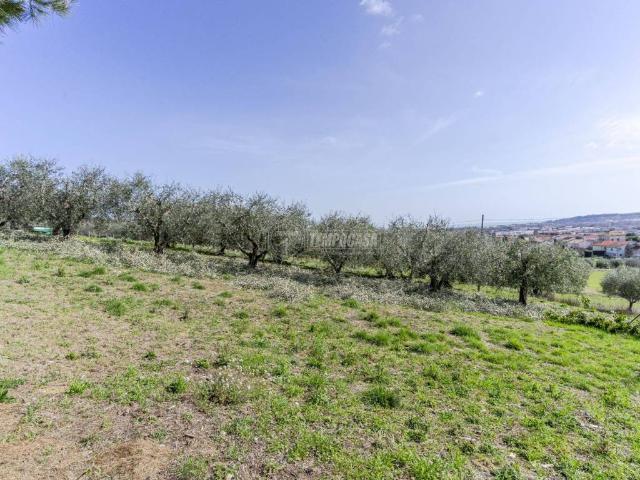 Terreno in vendita a San Gaetano, Marche