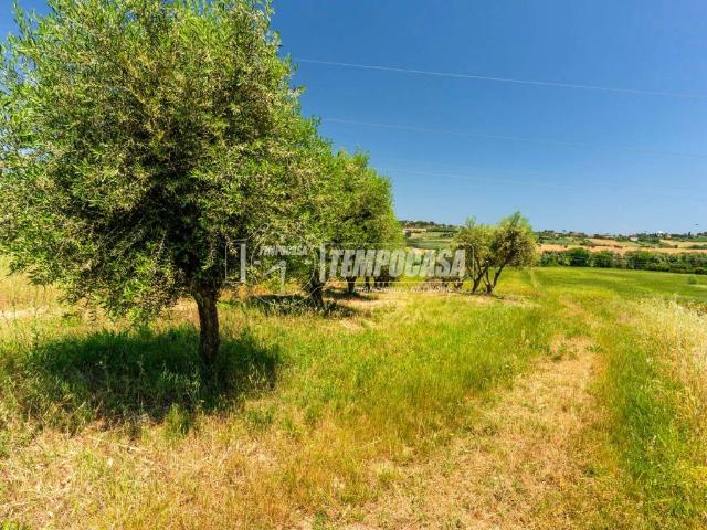 Terreno in vendita a Marche, Macerata