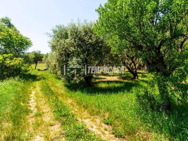 Terreno in vendita a Marche, Macerata