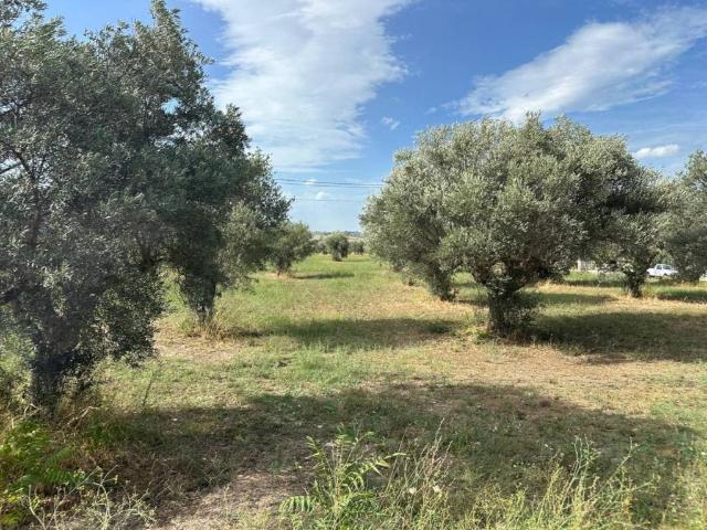 Terreno in vendita a Civitaquana, Abruzzo