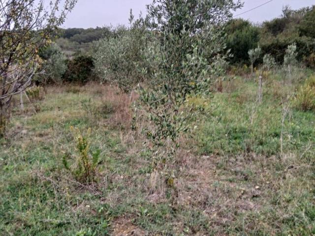 Terreno in vendita a Roma Capitale, Lazio