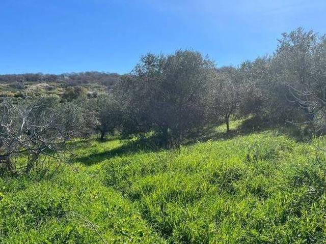 Terreno in vendita a Roma Capitale, Lazio