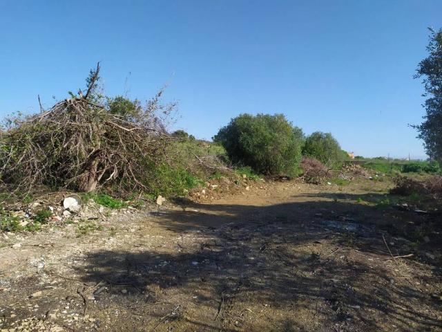 Terreno in vendita a Roma Capitale, Lazio