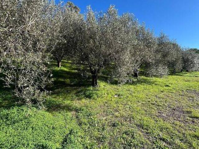 Terreno in vendita a San Liborio, Civitavecchia