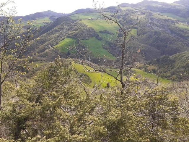 Terreno in vendita a Unione di Comuni della Romagna Forlivese, Cusercoli