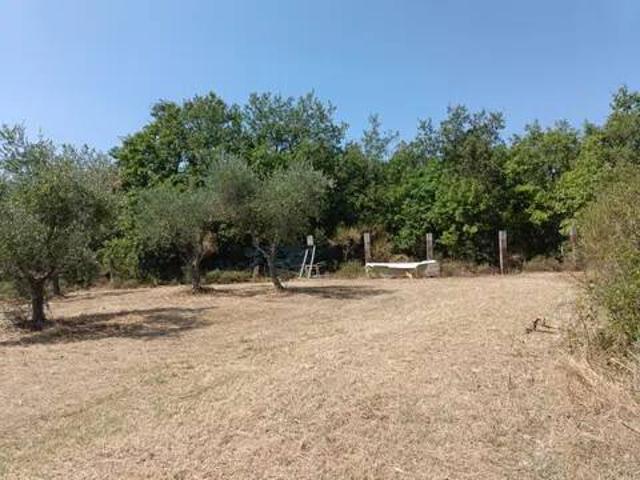 Terreno in vendita a Civitella in Val di Chiana, Viciomaggio