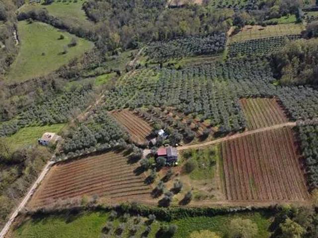 Terreno in vendita a Civitella Paganico