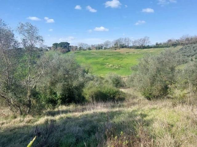 Terreno in vendita a Civitella Paganico, Civitella Marittima