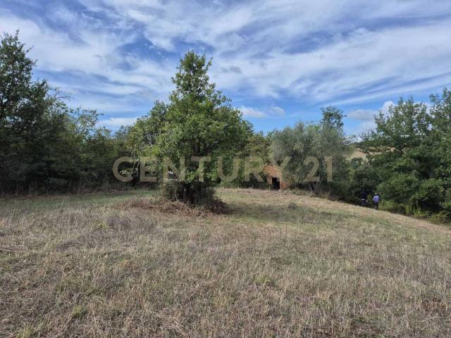 Terreno in vendita a Civitella Paganico, Civitella Marittima