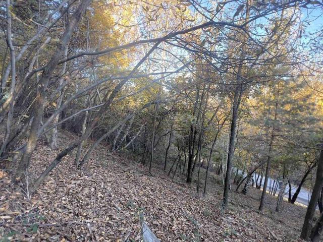 Terreno in vendita a Civo, Lombardia