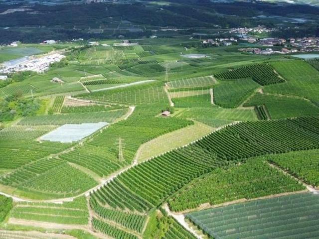 Terreno in vendita a Comunità della Val di Non, Cles