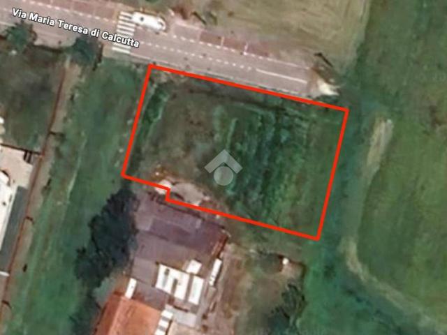 Terreno in vendita a Codevigo, Veneto