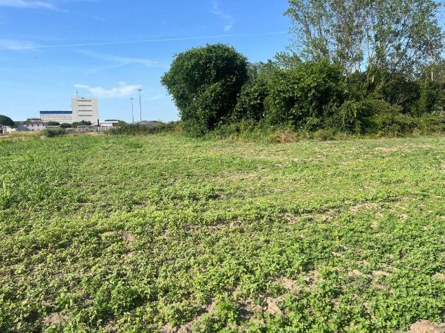 Terreno in vendita a Unione Delta del Po, Codigoro