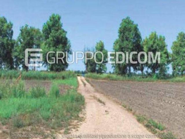 Terreno in vendita a Unione Delta del Po, Codigoro