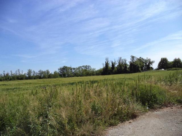 Terreno in vendita a Codroipo, Friuli-Venezia Giulia