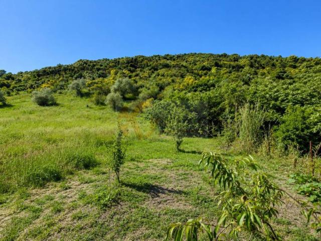 Terreno in vendita a Codrongianos, Sardigna/Sardegna
