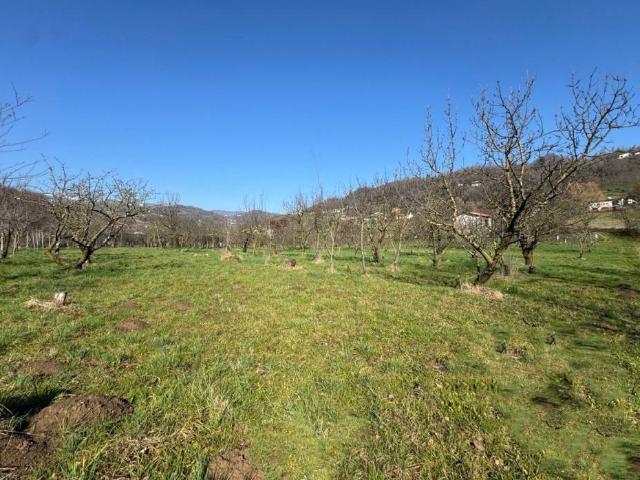Terreno in vendita a Mason Vicentino, Veneto