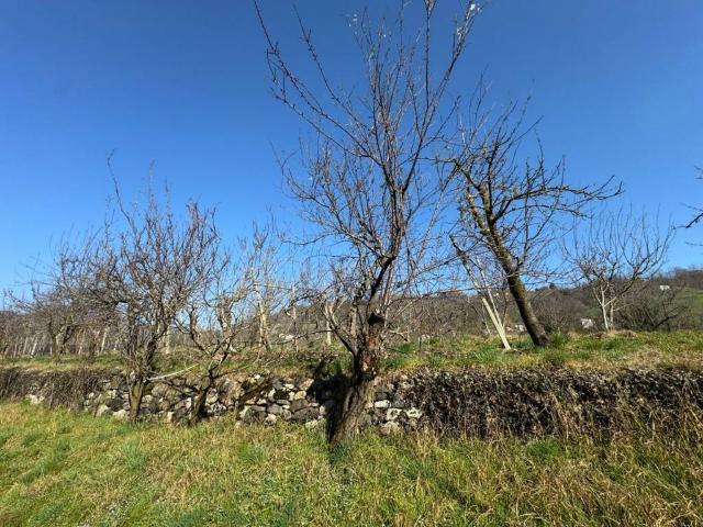 Terreno in vendita a Mason Vicentino, Veneto