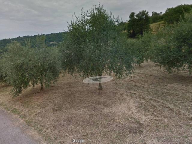 Terreno in vendita a Marostica, Veneto
