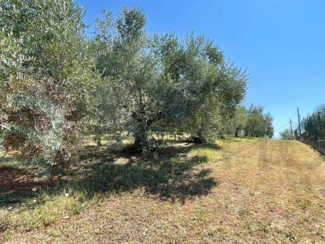 Terreno in vendita a Villafelice, Colfelice