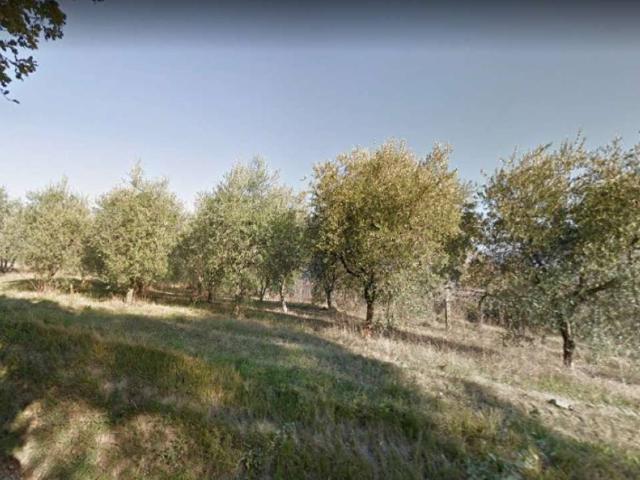 Terreno in vendita a Collazzone, Umbria