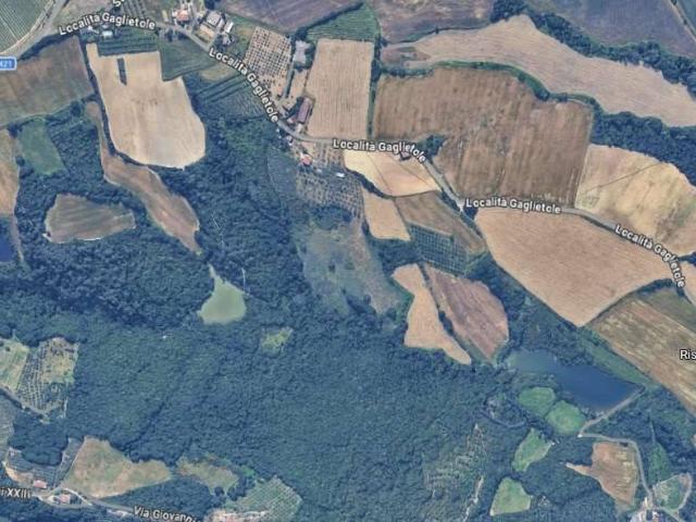 Terreno in vendita a Collazzone, Umbria