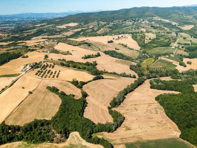 Terreno in vendita a Collazzone, Umbria