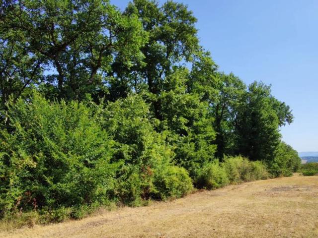 Terreno in vendita a Colle Di Val D'elsa, Toscana