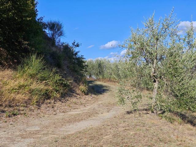 Terreno in vendita a Lecchi, Toscana