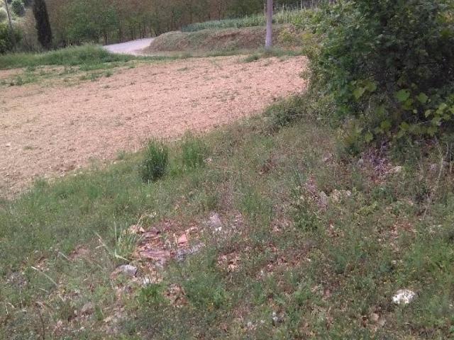 Terreno in vendita a Colle Di Val D'elsa, Toscana