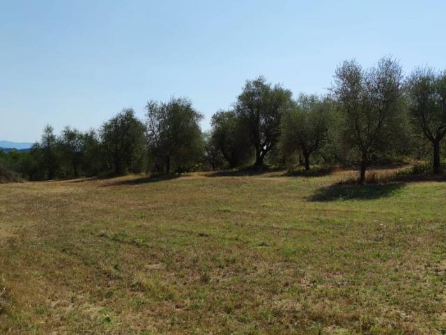 Terreno in vendita a Colle Di Val D'elsa, Toscana