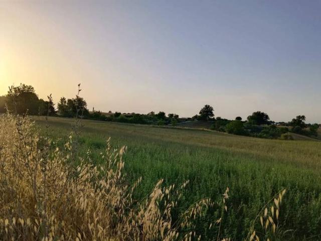 Terreno in vendita a Agrestone, Colle Di Val D'elsa