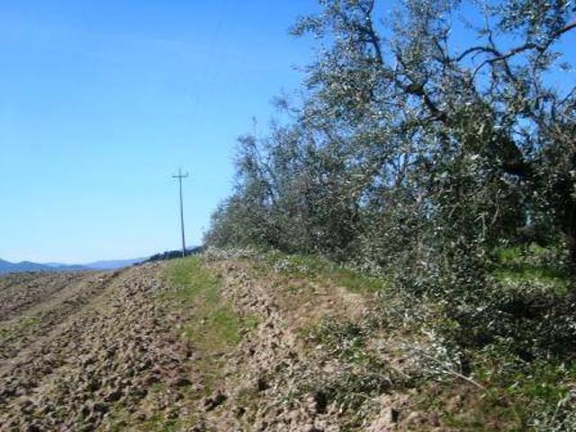 Terreno in vendita a Campolungo, Colle Di Val D'elsa