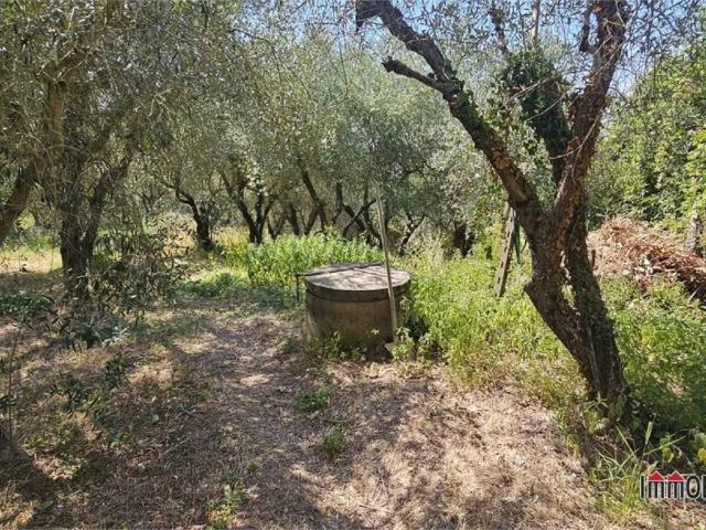 Terreno in vendita a Colle Di Val D'elsa, Toscana