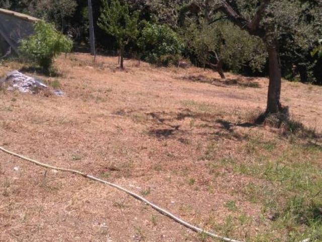 Terreno in vendita a Barberi, Collecorvino