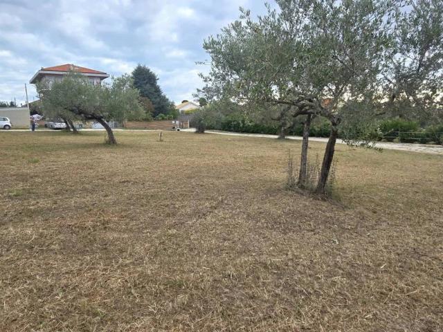 Terreno in vendita a Collecorvino, Abruzzo