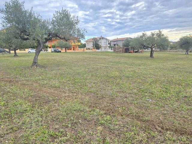 Terreno in vendita a Collecorvino, Abruzzo
