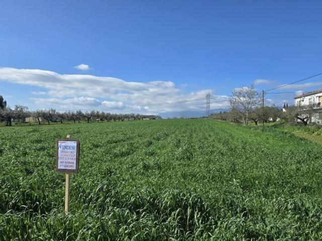 Terreno in vendita a Collecorvino, Abruzzo