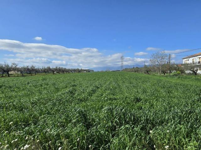 Terreno in vendita a Collecorvino, Abruzzo