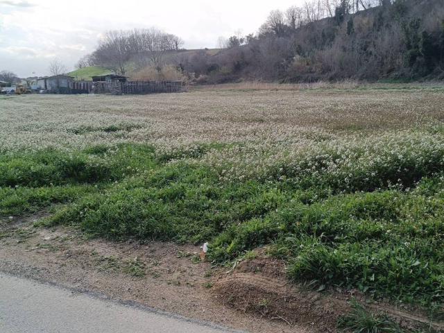 Terreno in vendita a Collecorvino, Abruzzo