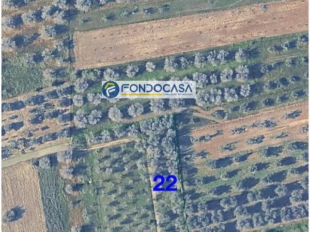 Terreno in vendita a Puglia, Lecce