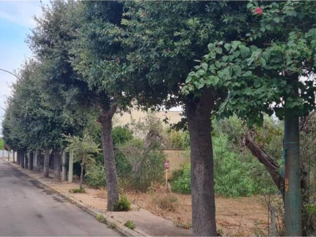 Terreno in vendita a Puglia, Lecce