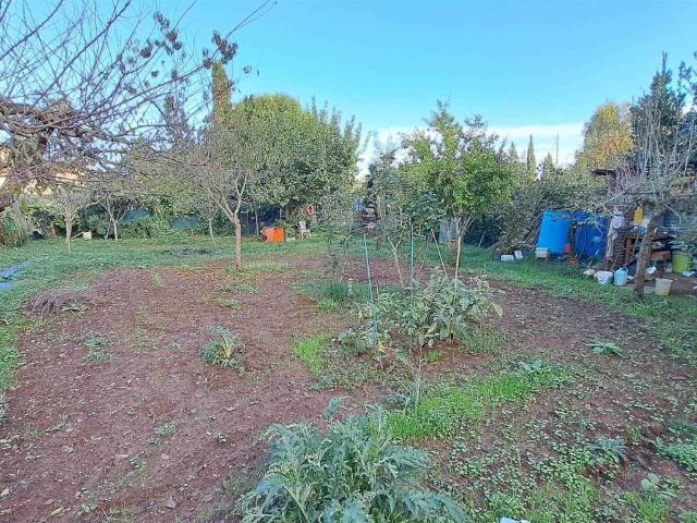 Terreno in vendita a Collesalvetti, Toscana