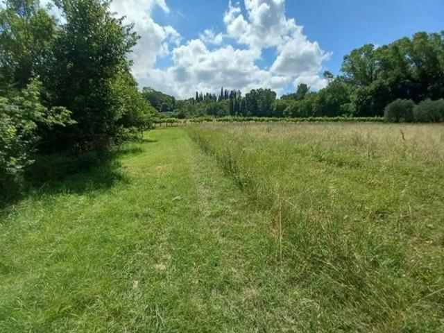 Terreno in vendita a Collesalvetti, Toscana