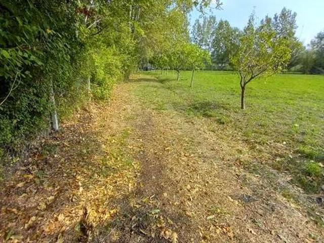 Terreno in vendita a Nugola, Collesalvetti